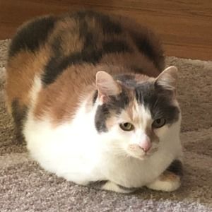 Meet your Posher, Leah